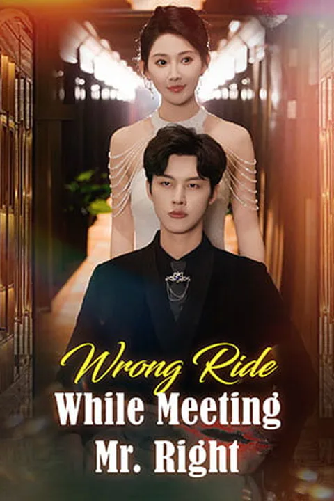 Wrong Ride, While Meeting Mr. Right poster