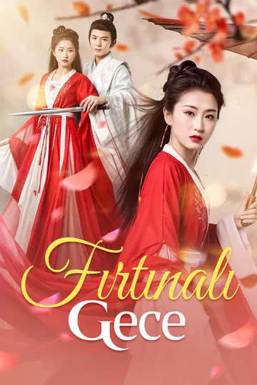 Fırtınalı Gece afişi
