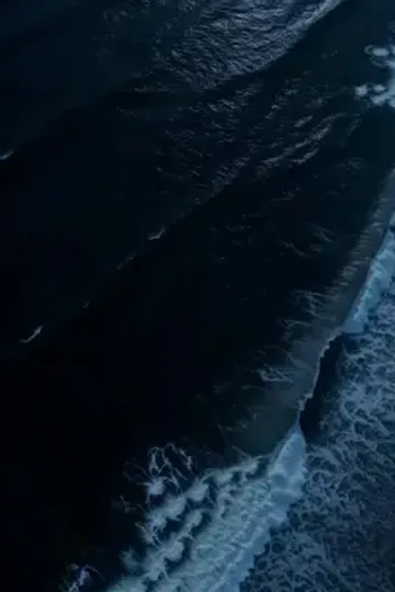 Poster von The Merman Prince's Captive Vampire Groom