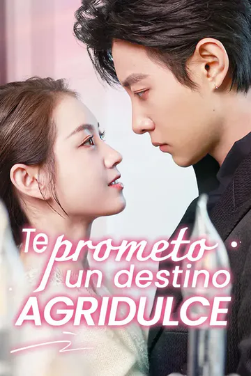 Póster de Te prometo un destino agridulce