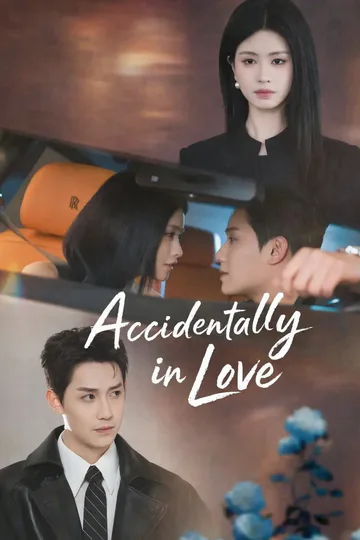 Accidentally in Love poster