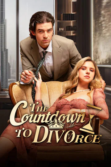 The Countdown to Divorce poster