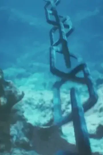 Mutfaktaki gizli kral afişi