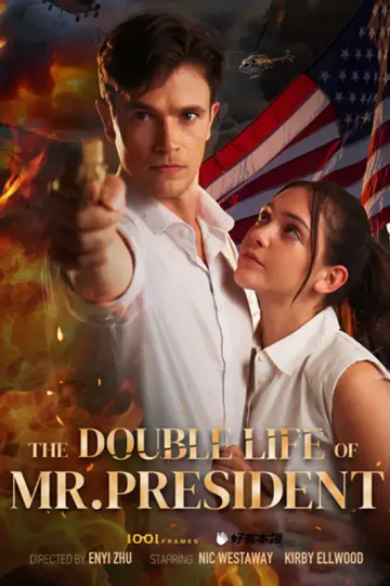 The Double Life Mr President poster