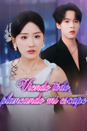 Póster de Viendo todo, planeando mi escape