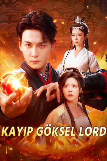 Kayıp Göksel Lord afişi