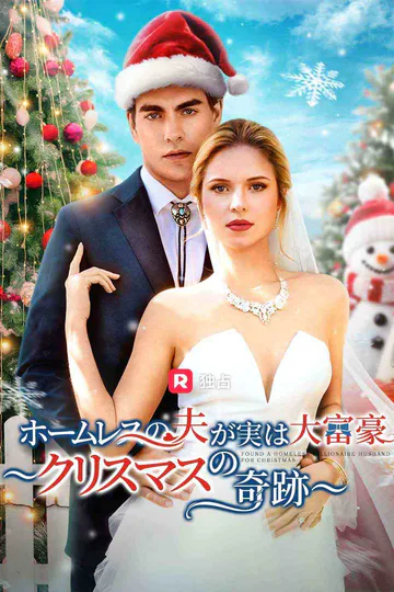 (吹き替え) ホームレスの夫が実は大富豪 ～クリスマスの奇跡～のポスター